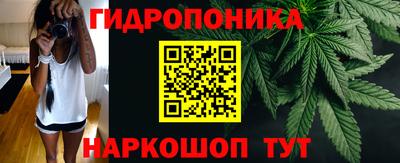 мдпв Пушкино